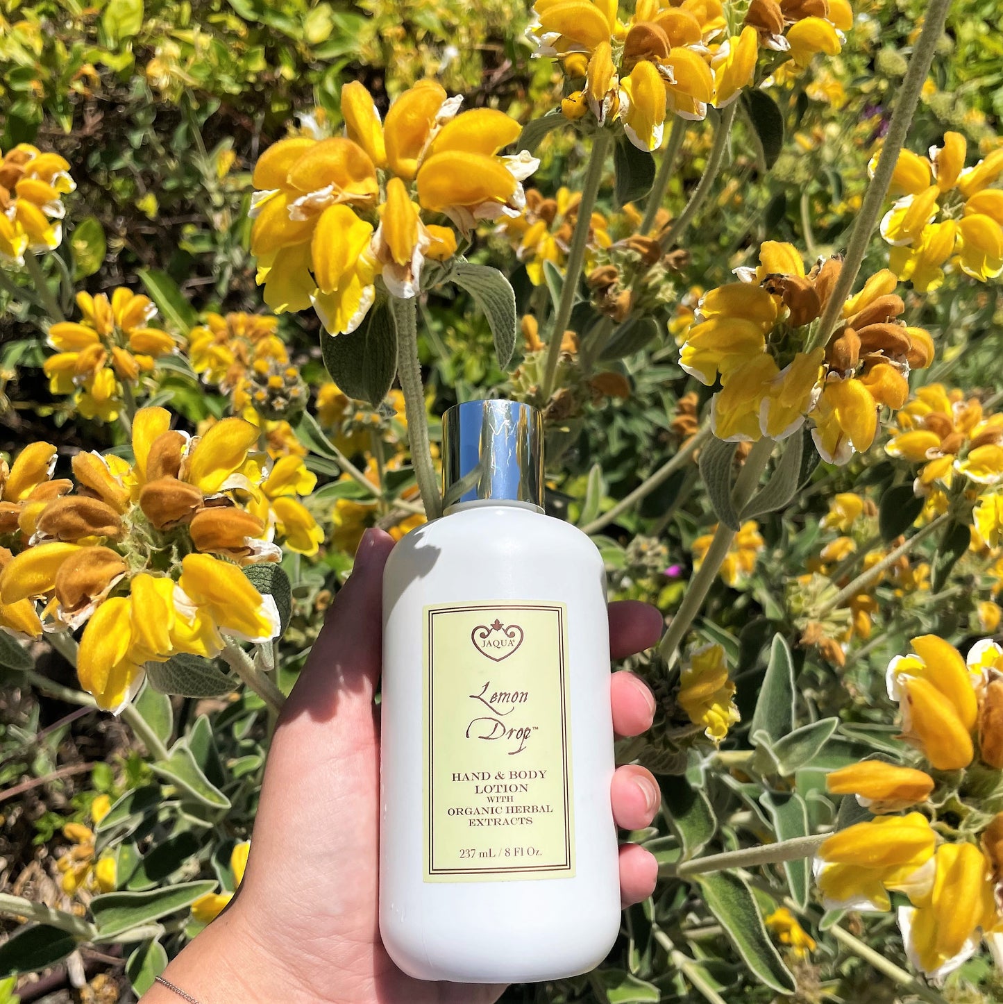 Hand and Body Lotion Lemon