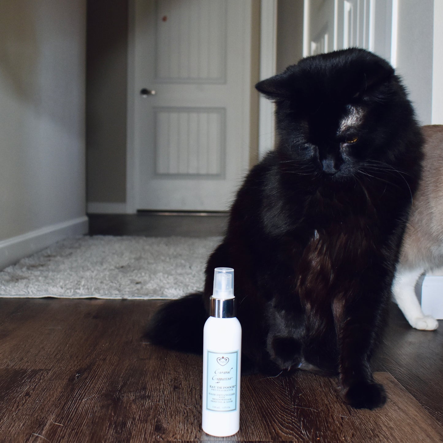 Pet Fragrance Perfume Spray