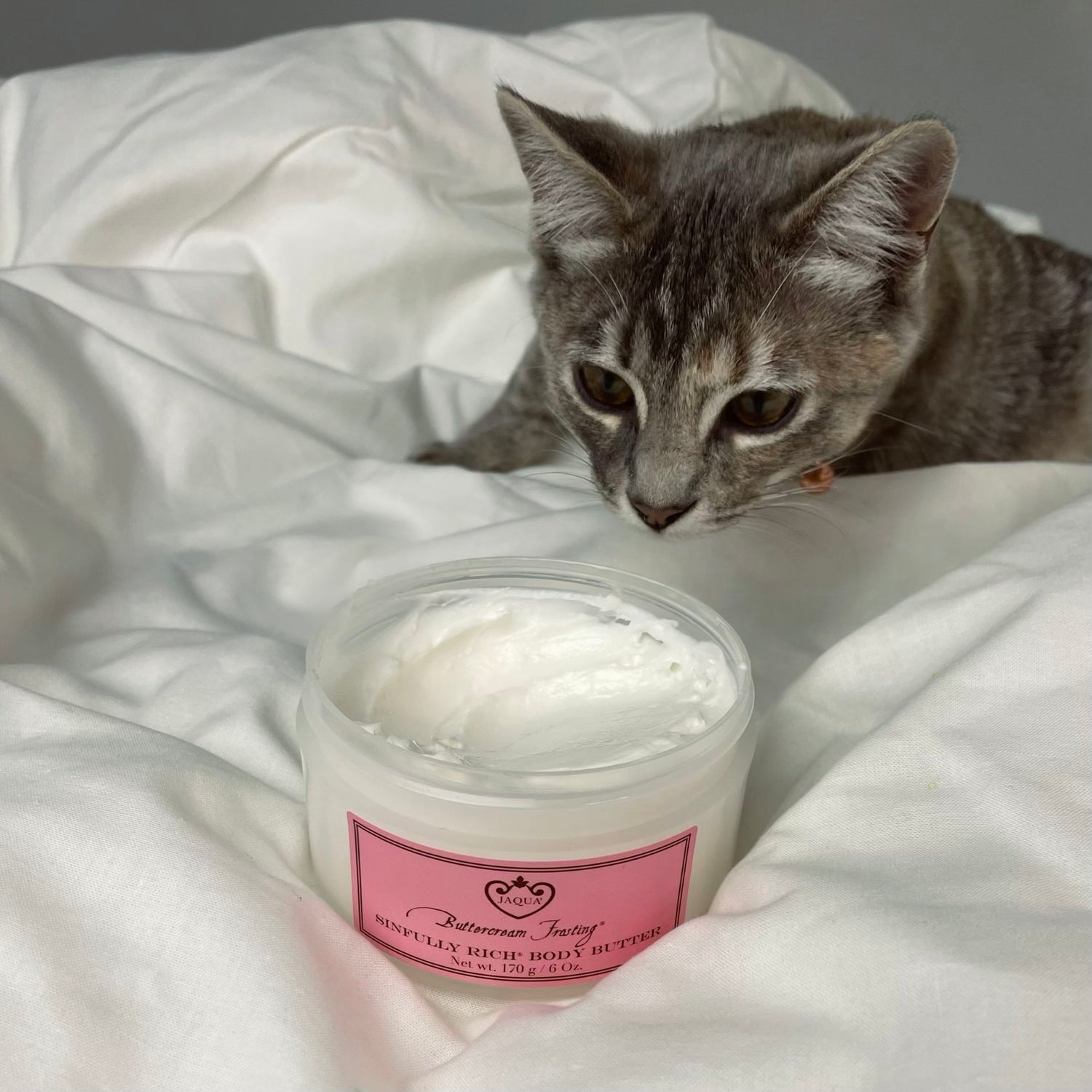 Kitten smelling Buttercream Frosting Body Butter