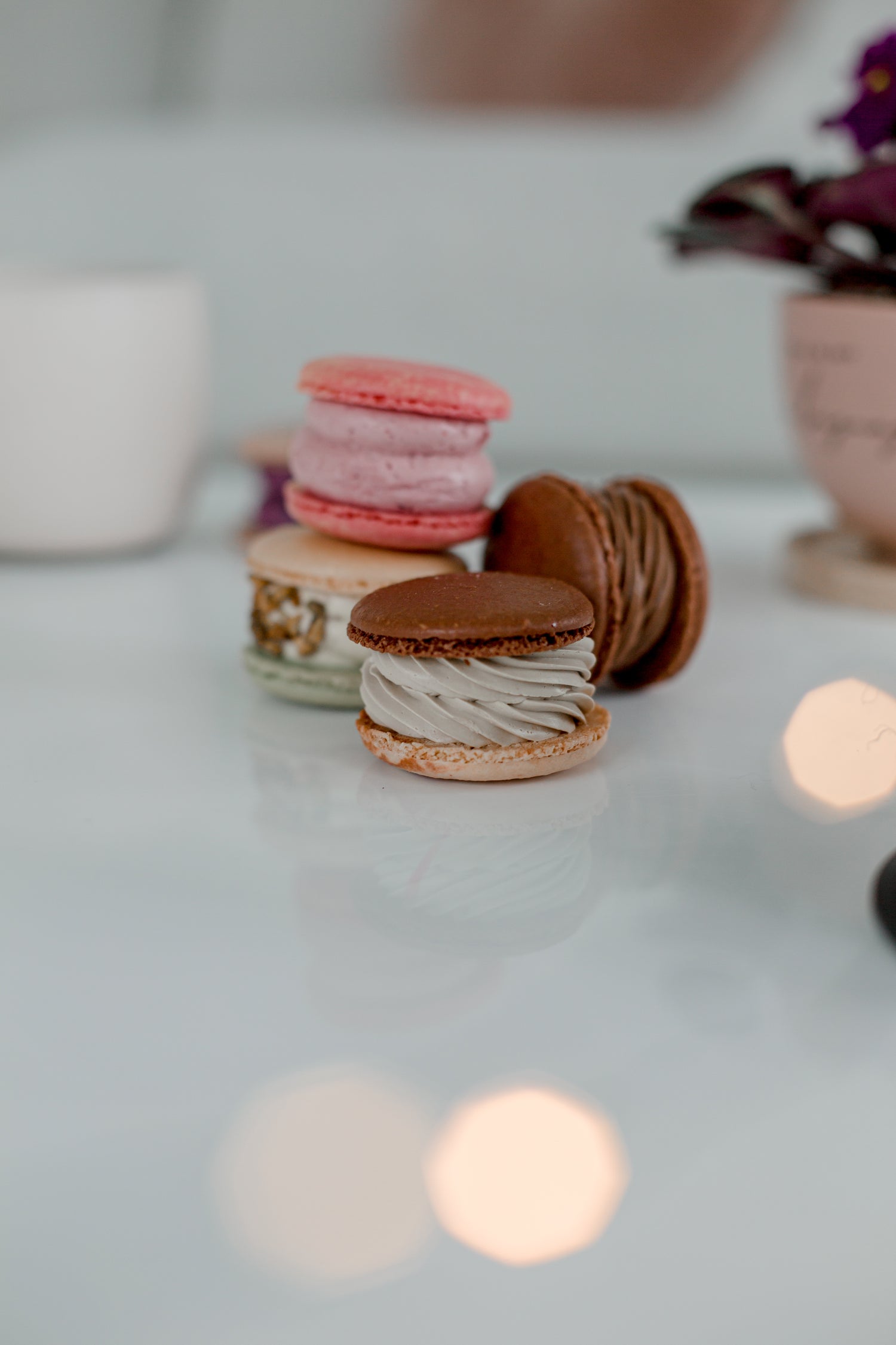 Chocolate Macaron