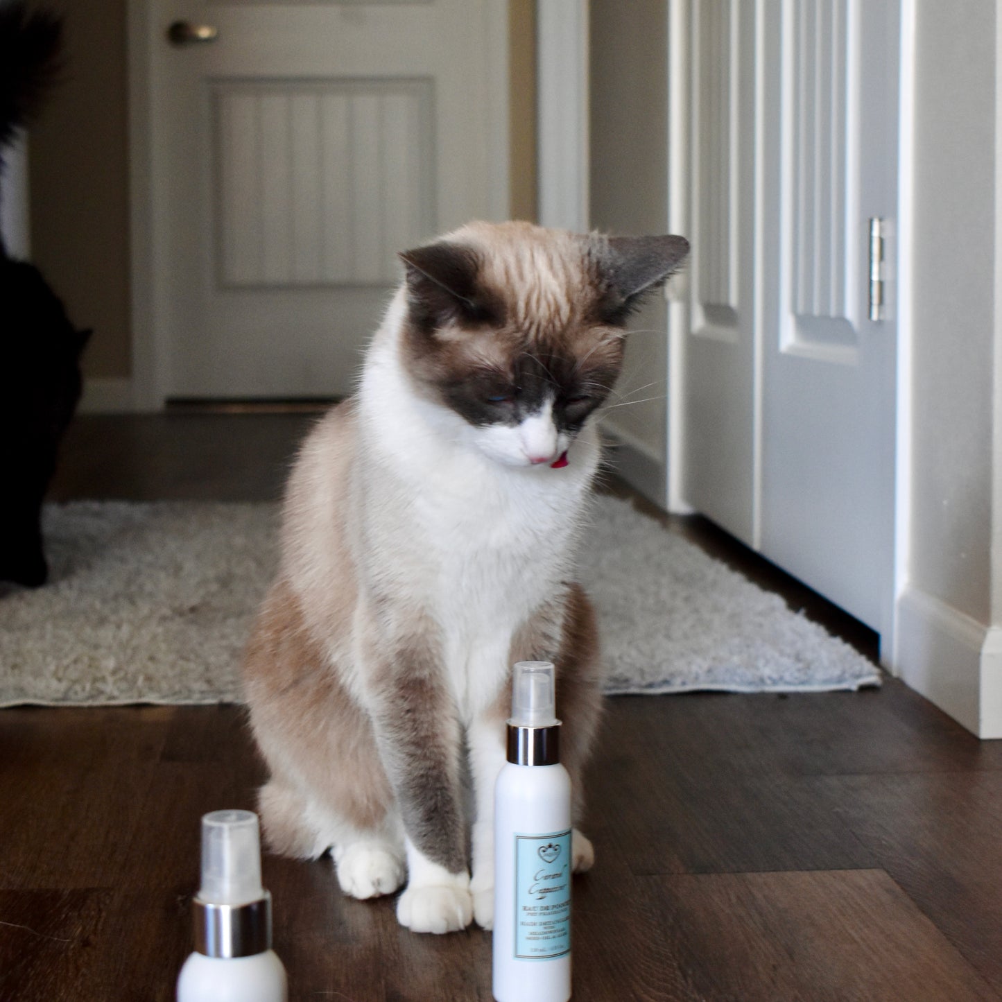 Cat Fragrance Spray