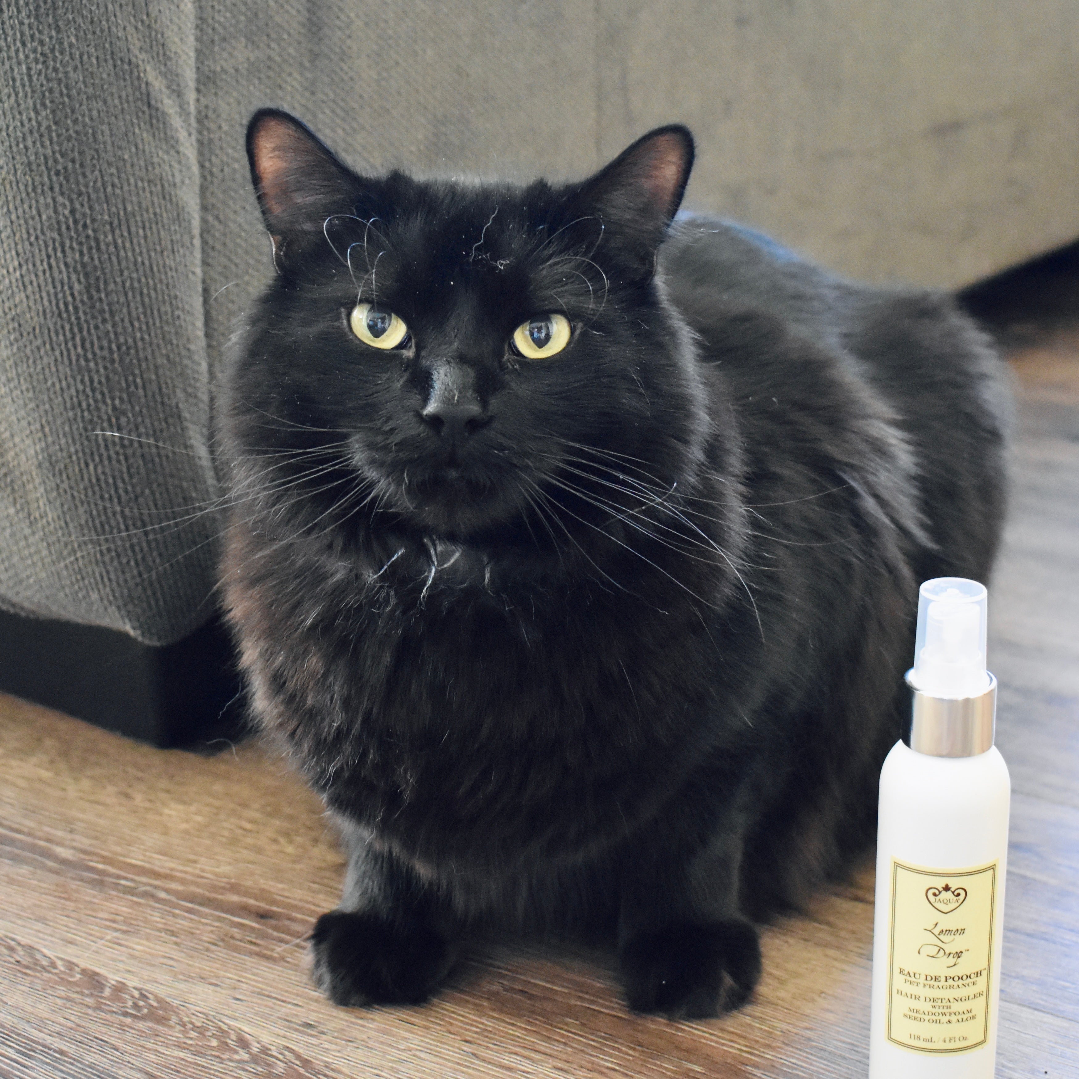 Cat fur detangler spray sale