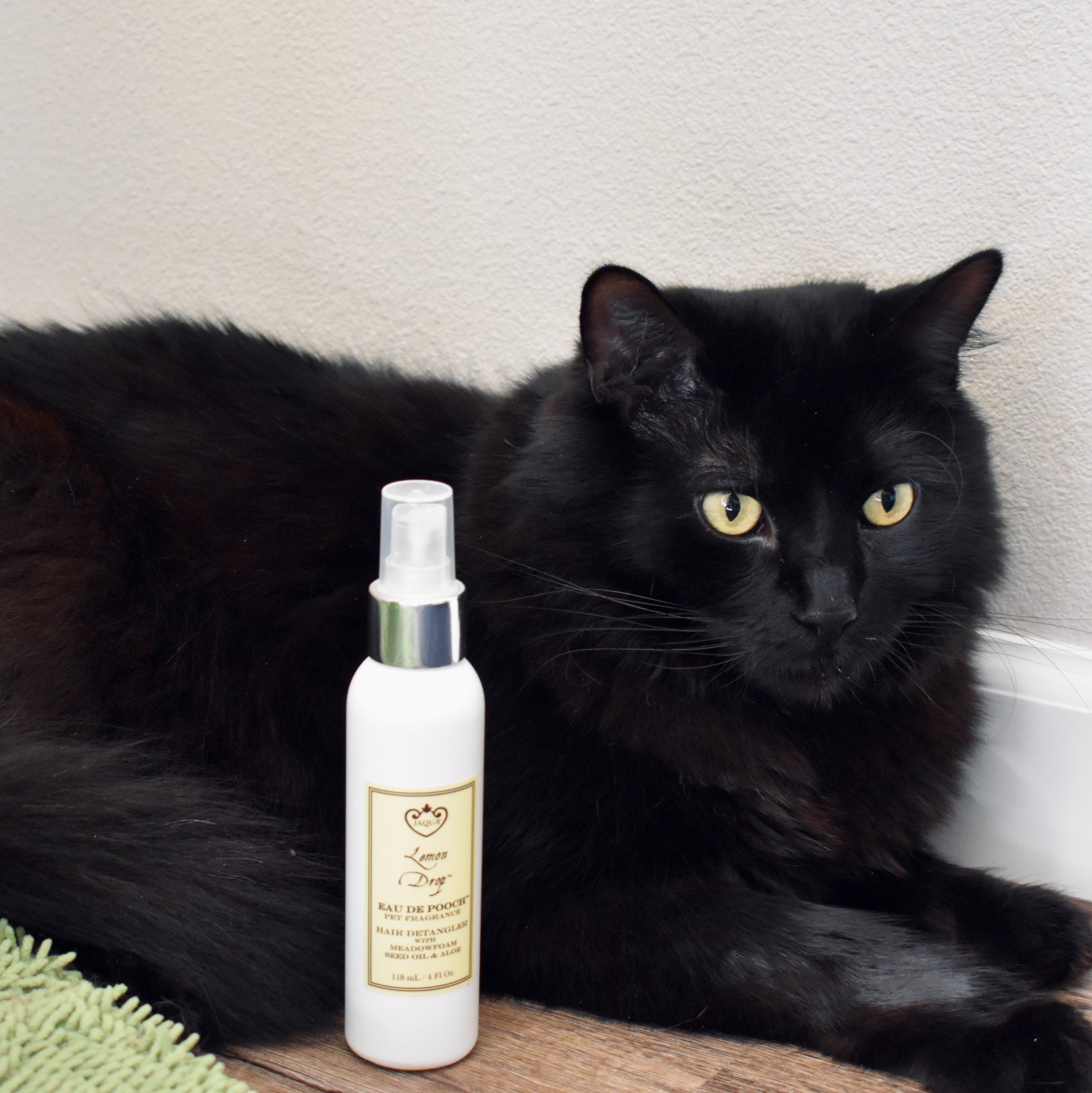 Cat best sale detangler spray