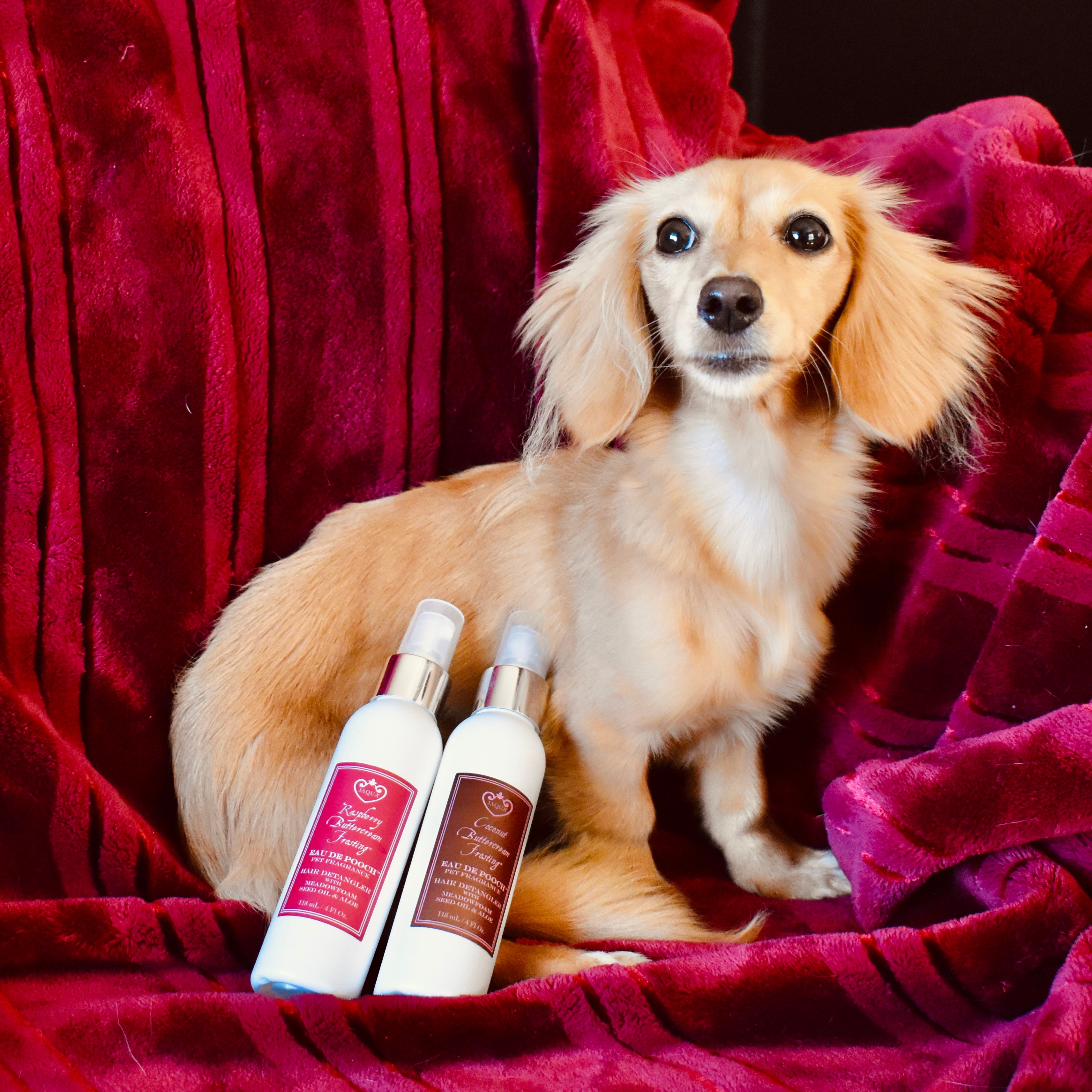 Dog fragrance clearance spray